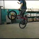 , 36