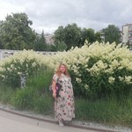 , 36