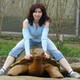 Tigra, 52