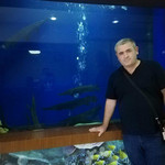 Nazim, 53 (3 , 0 )