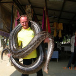 Anas, 66