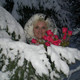 Tatjana, 48