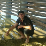 edik, 41 (1 , 0 )