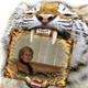 Elena, 66