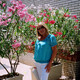 ludmila, 72