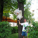 ������, 53