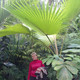 galina, 50
