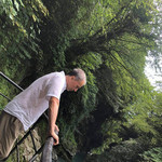 Pavle, 62