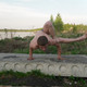 Anton, 39