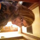 smirnova yuliya, 44 (1 ����, 0 �����)