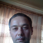 , 51