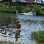 Olga, 46