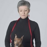 NightCat, 60