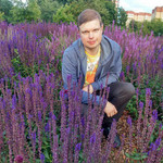 �������, 40