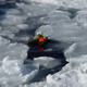 �����, 58