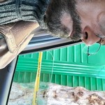 Carlos, 47 (3 , 0 )