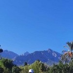 �������, 38