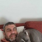 ������, 51